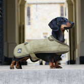 Country and Twee Green Tweed Waterproof Dachshund Dog Coat